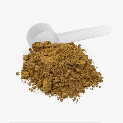 Mushroom Insta-Blast Instant Coffee (Lion's Mane and Chaga)